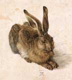 albrecht_durer2 (19K)