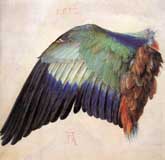albrecht_durer3 (24K)