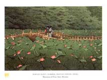 hasui2 (27K)